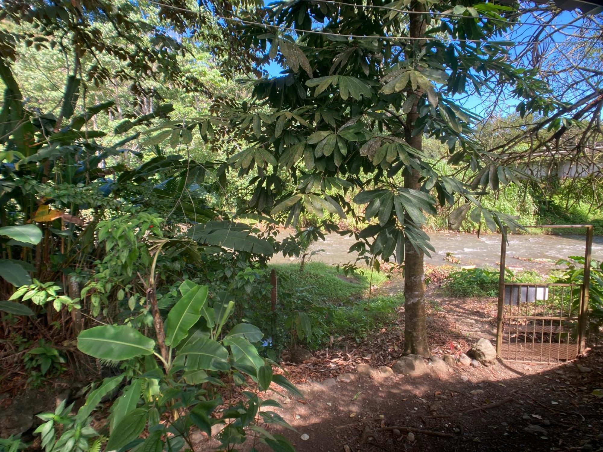 Yejos Jungle Lodge Dos Brazos Экстерьер фото